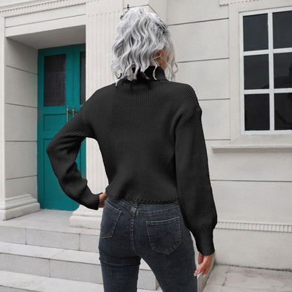 Turtleneck Short Knitted Sweater