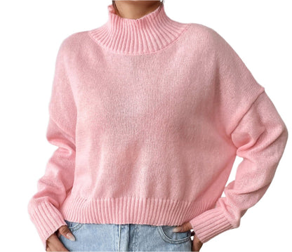 Turtleneck Pullover Loose Sweater