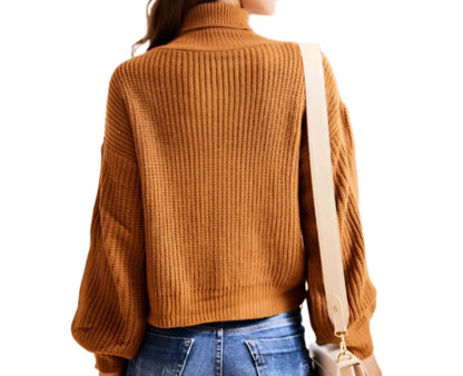 Elegant Graceful Niche Design Turtleneck Soft Glutinous Knitted Sweater