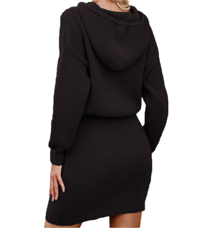 Casual Hooded Cinched Waist Pullover Knitted Dress