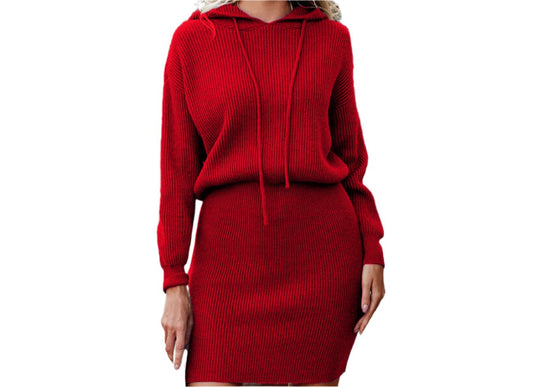 Casual Hooded Cinched Waist Pullover Knitted Dress