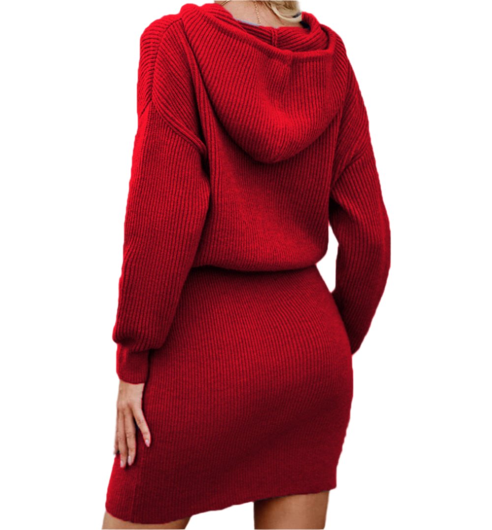 Casual Hooded Cinched Waist Pullover Knitted Dress